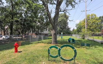 Dog park